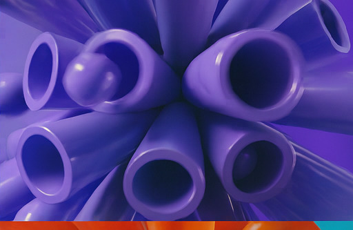 알파 지역 탐험 체험