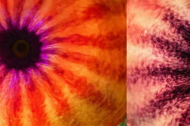 베타 지역 스테이지 체험