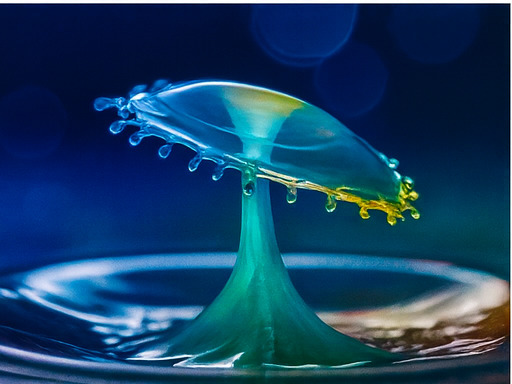 창의력 넘치는 탐험 공간